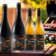 Les bertholets, bertholets, chardonnay